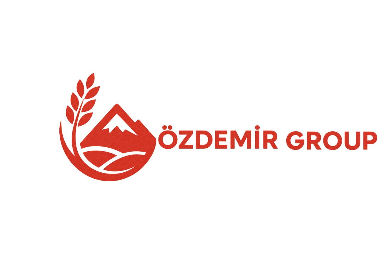 Özdemir Group Logo